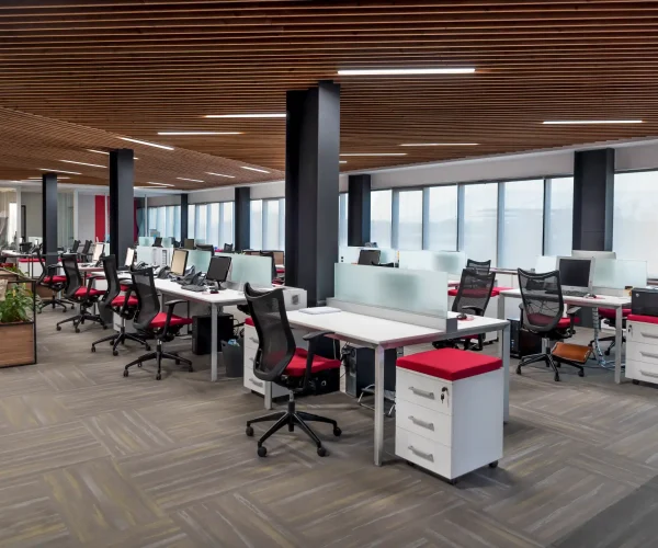 farazin-projects-golnanpuratos-00